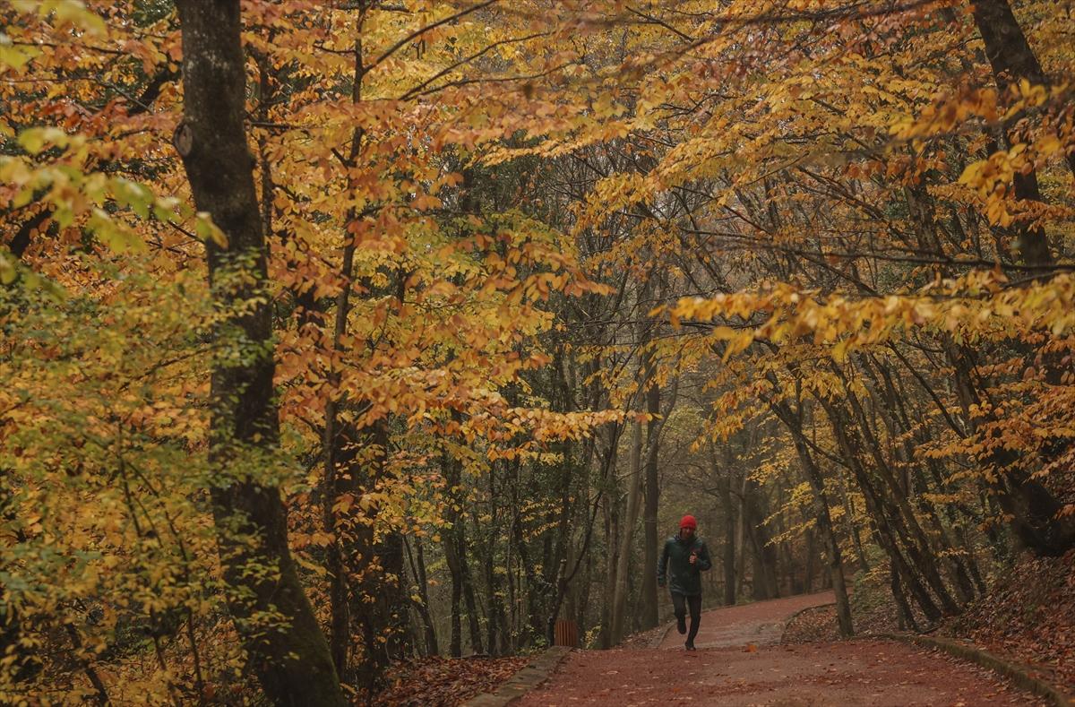 İstanbul sonbahar renklerine büründü