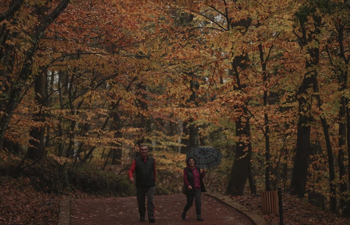 İstanbul sonbahar renklerine büründü