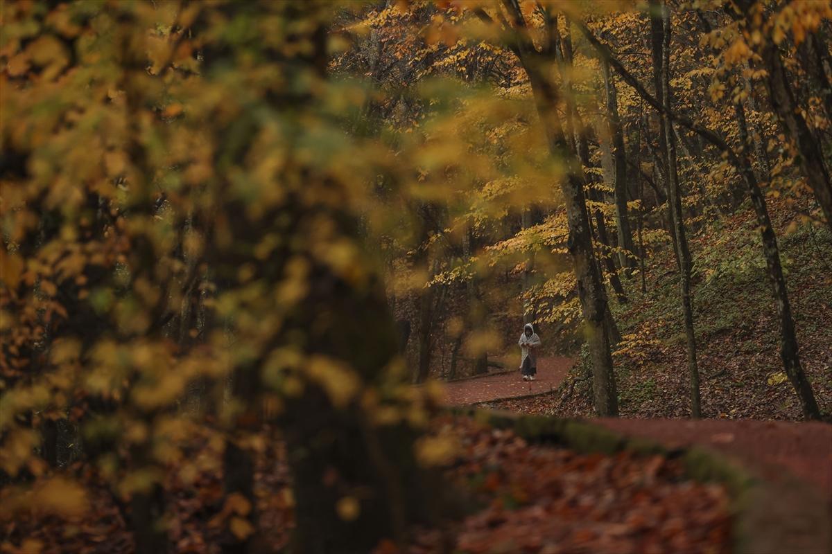 İstanbul sonbahar renklerine büründü