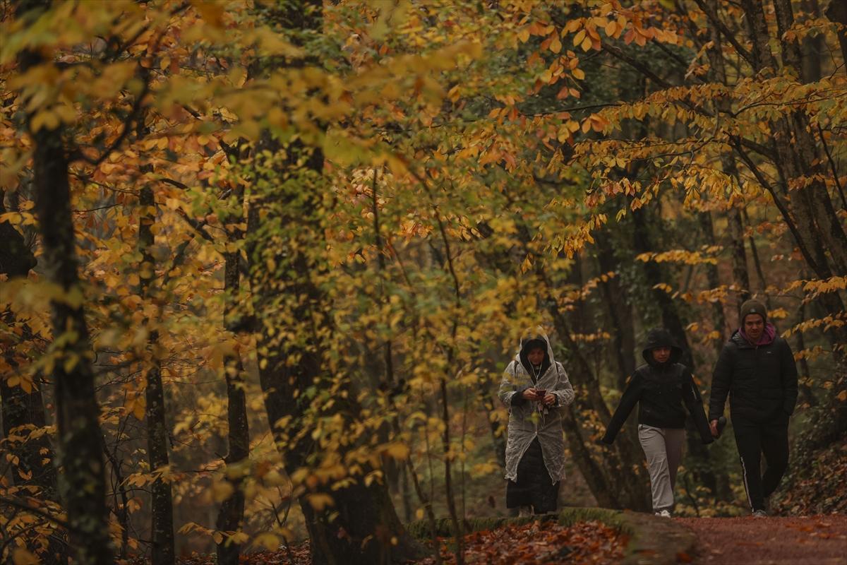 İstanbul sonbahar renklerine büründü