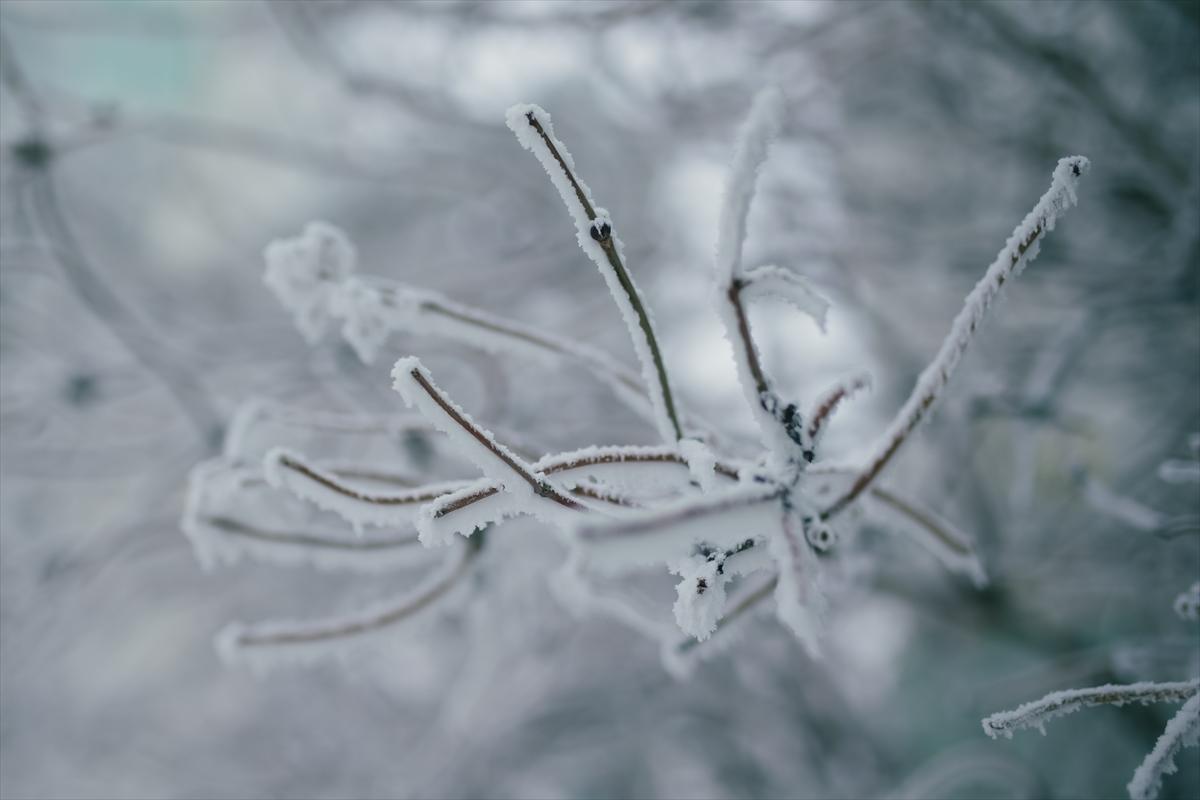 Hava sıcaklığı eksi 50 derece! Donma eşiğindeki Yakutistan'da günlük yaşam...