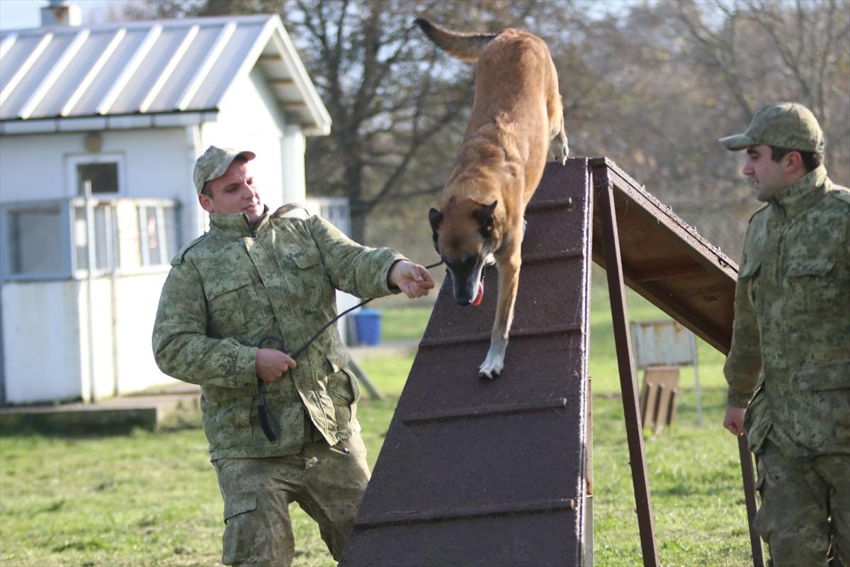 TSK'nın devriye köpekleri