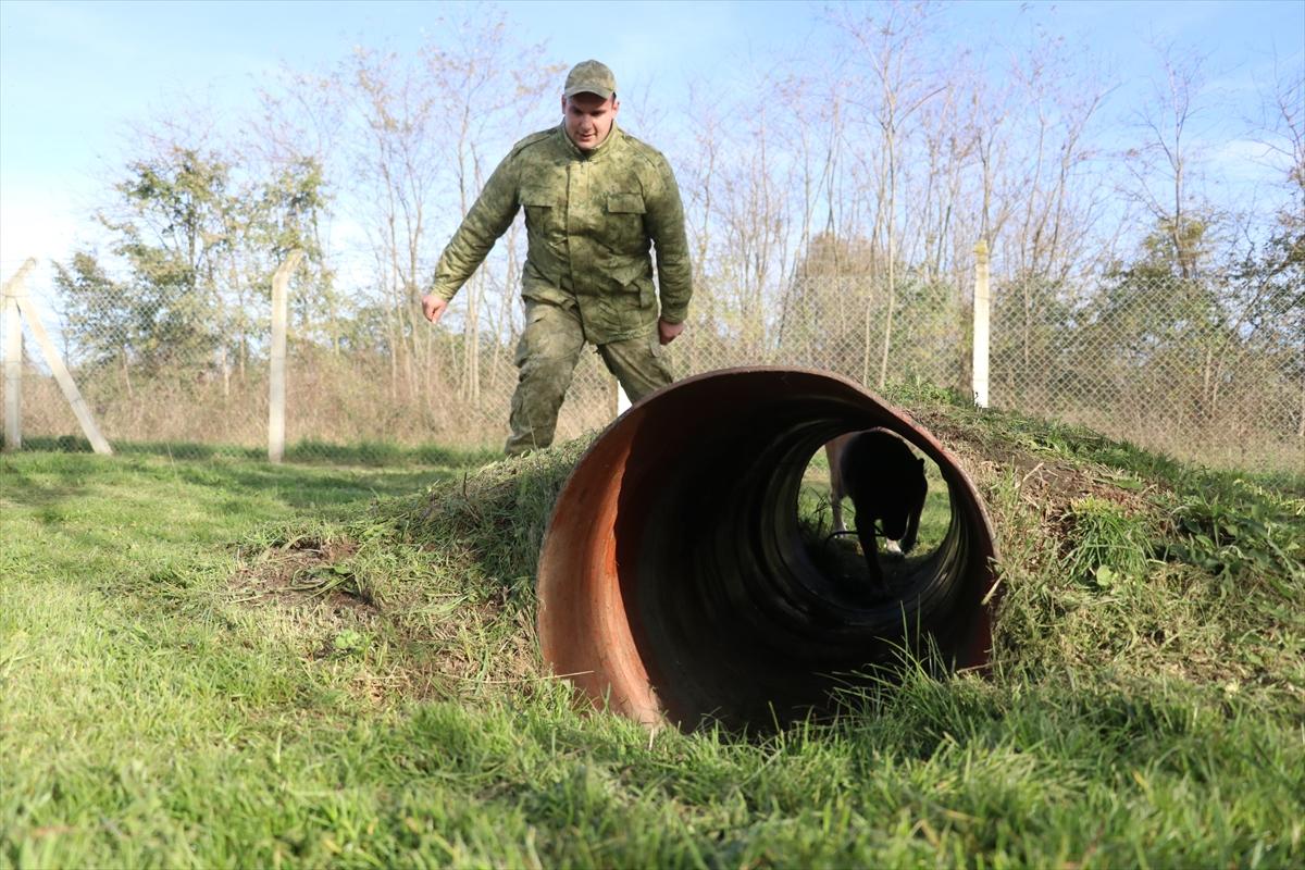 TSK'nın devriye köpekleri