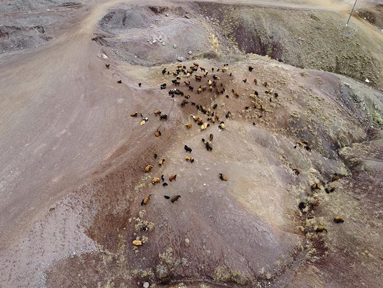 Elazığ'da yıllardır çadırlarda yaşayan göçerler, konteynerlerine kavuştu