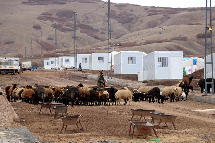 Elazığ'da yıllardır çadırlarda yaşayan göçerler, konteynerlerine kavuştu