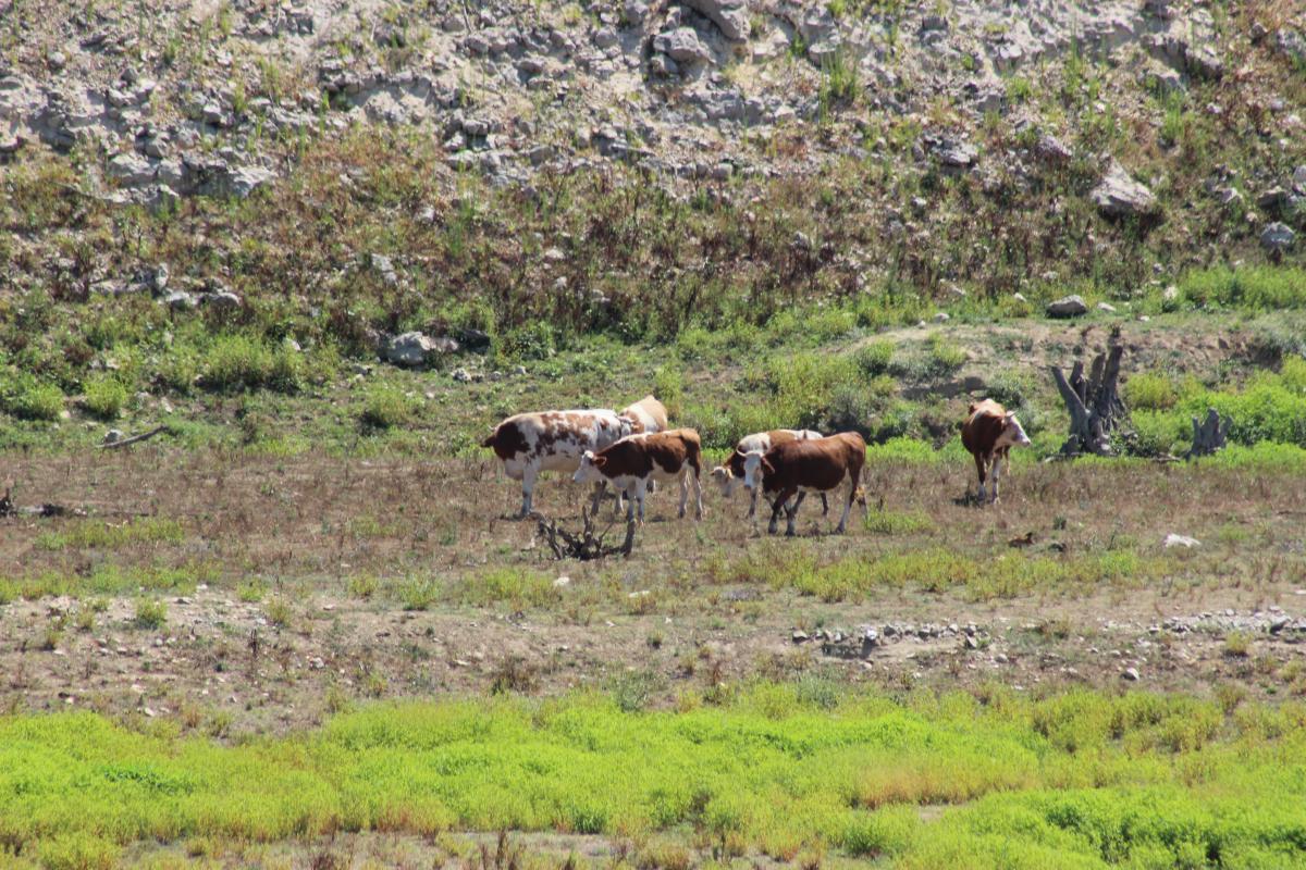 İstanbul'u destekleyen barajlarda büyük değişim