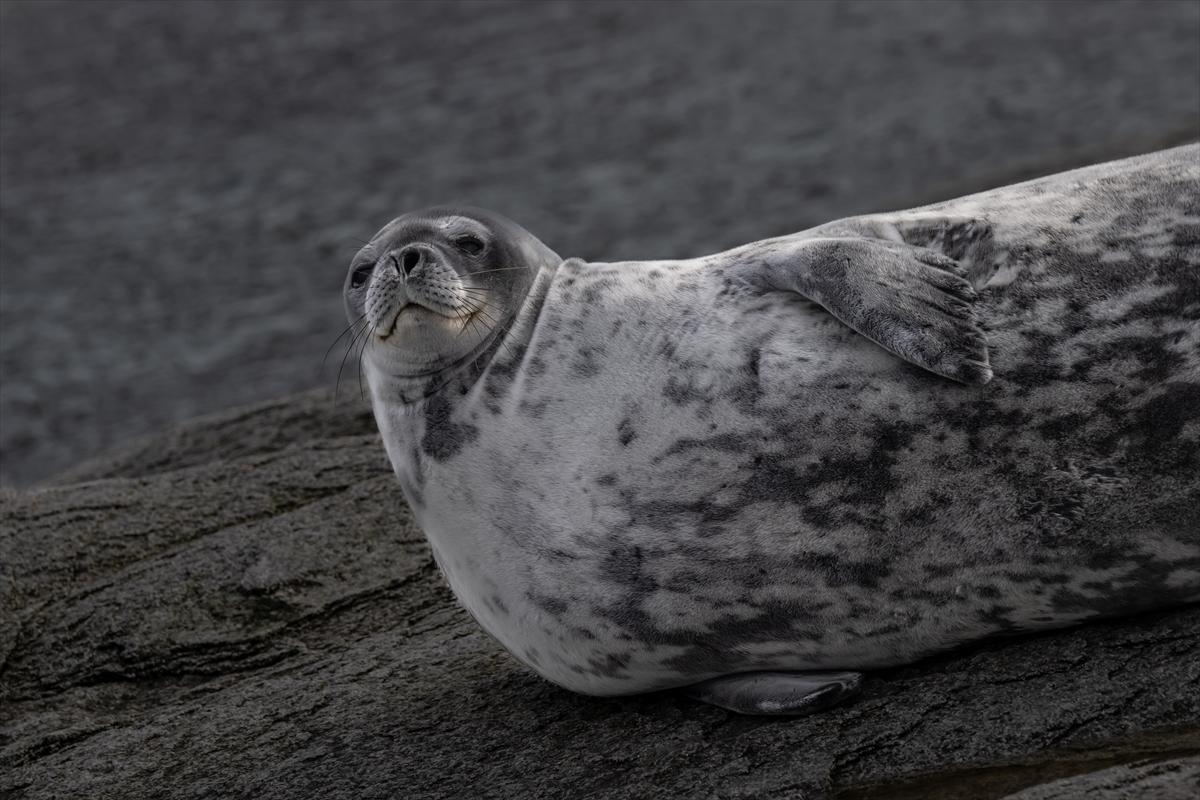 8. Ulusal Antarktika Bilim Seferi ekibi yurda geri döndü