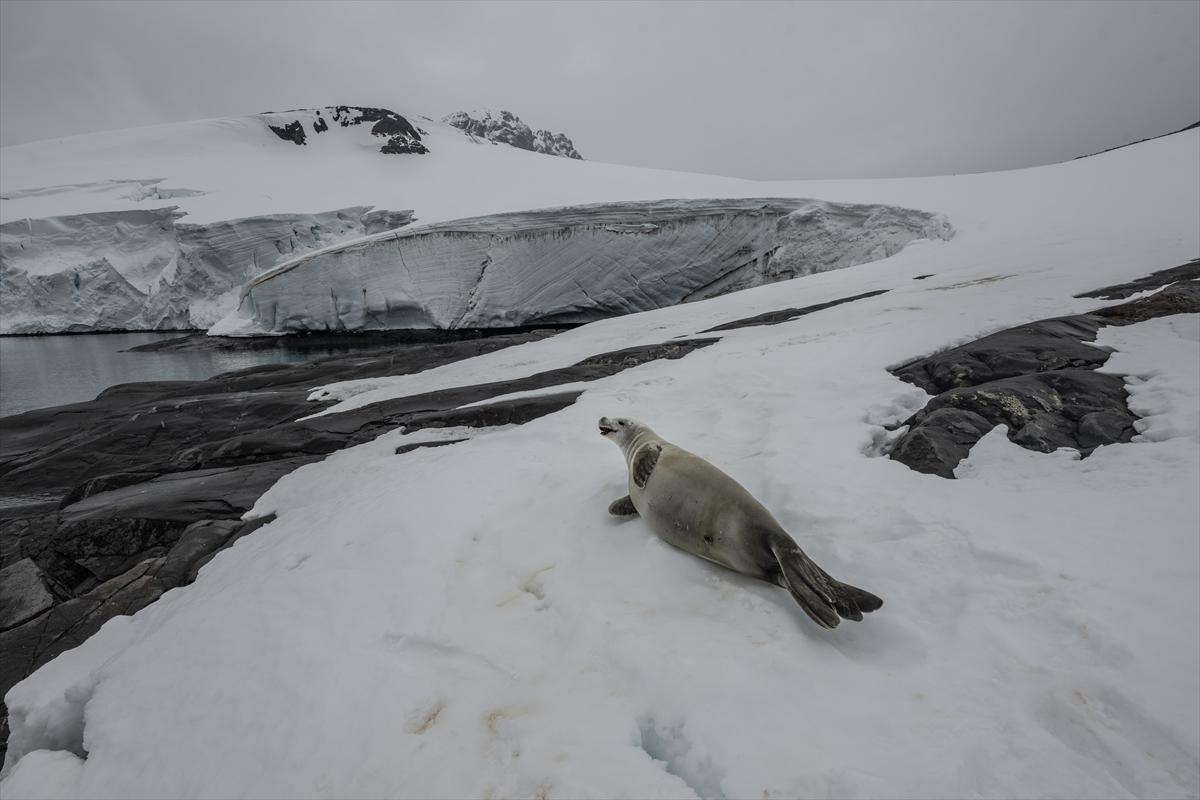 8. Ulusal Antarktika Bilim Seferi ekibi yurda geri döndü