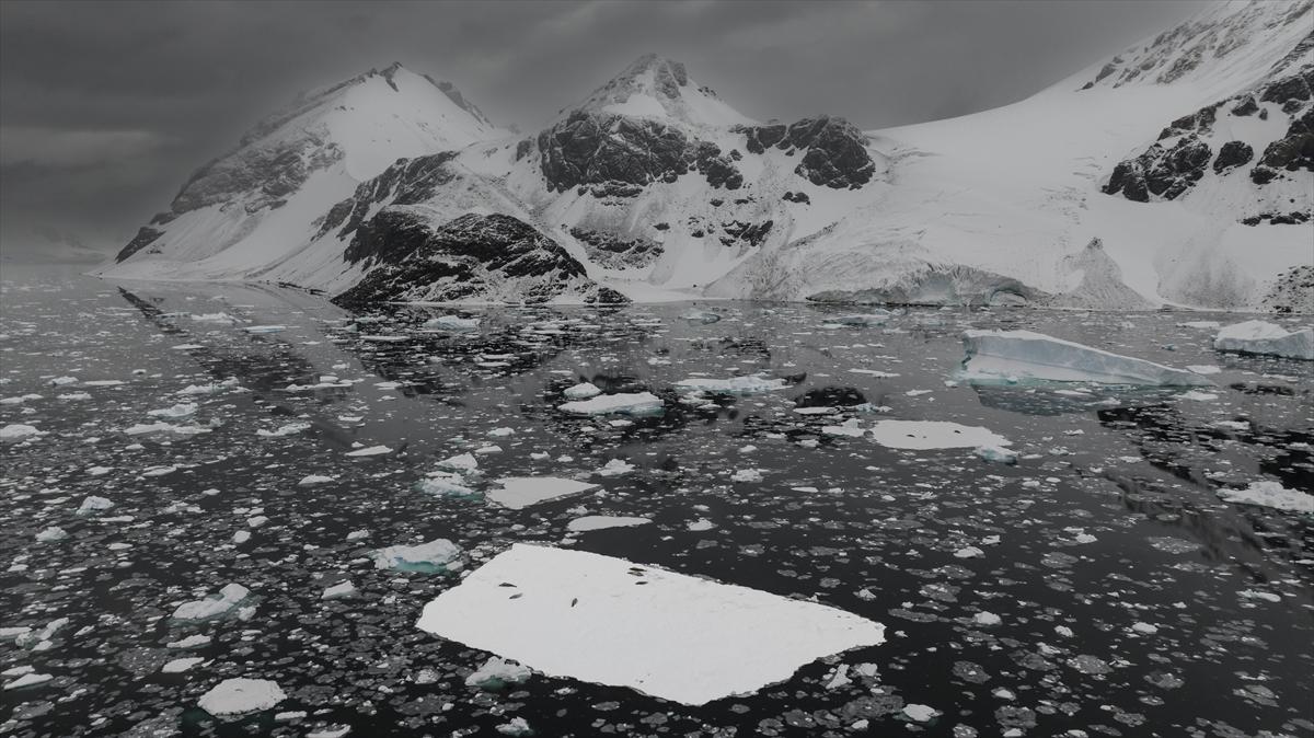 8. Ulusal Antarktika Bilim Seferi ekibi yurda geri döndü