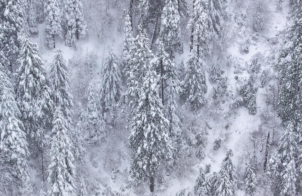 ABD'de kar fırtınası! California'da hayat felç oldu