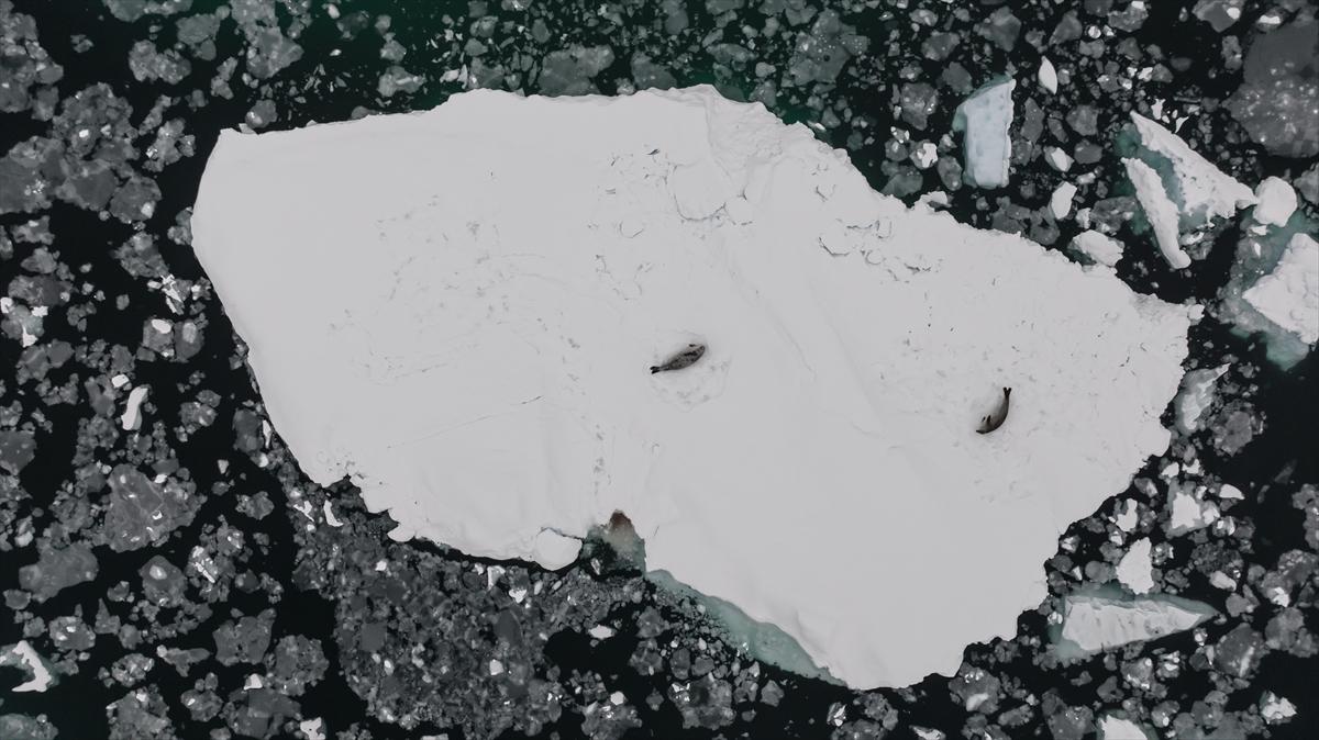 8. Ulusal Antarktika Bilim Seferi ekibi yurda geri döndü