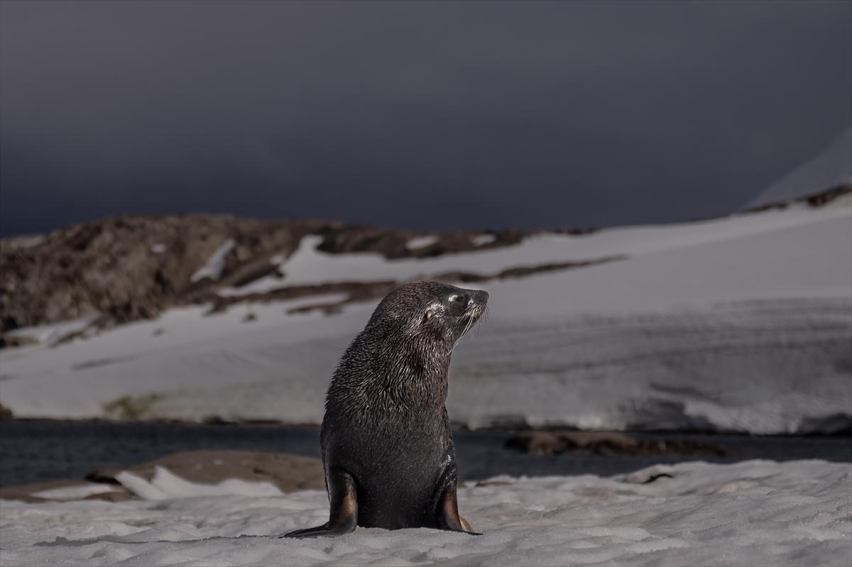 8. Ulusal Antarktika Bilim Seferi ekibi yurda geri döndü