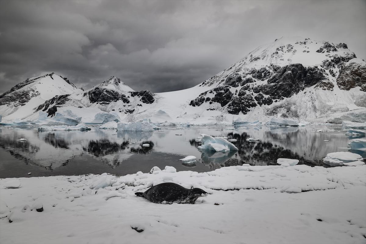 8. Ulusal Antarktika Bilim Seferi ekibi yurda geri döndü