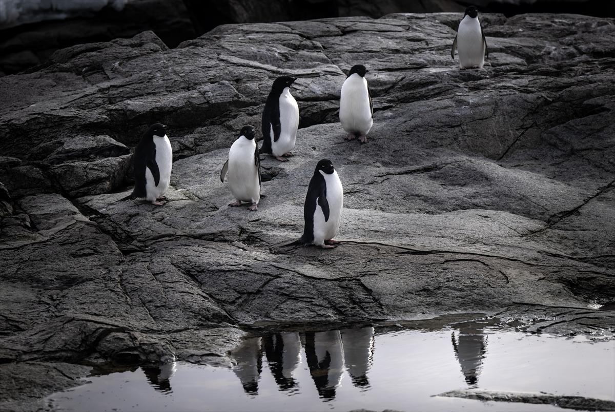 8. Ulusal Antarktika Bilim Seferi ekibi yurda geri döndü