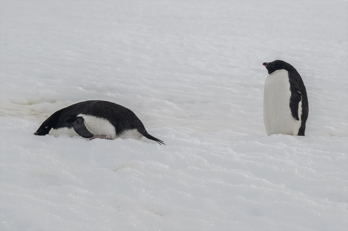 8. Ulusal Antarktika Bilim Seferi ekibi yurda geri döndü