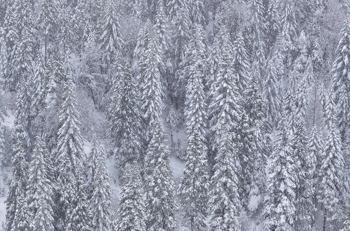 ABD'de kar fırtınası! California'da hayat felç oldu