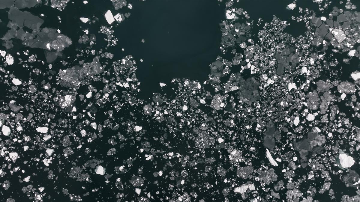 8. Ulusal Antarktika Bilim Seferi ekibi yurda geri döndü