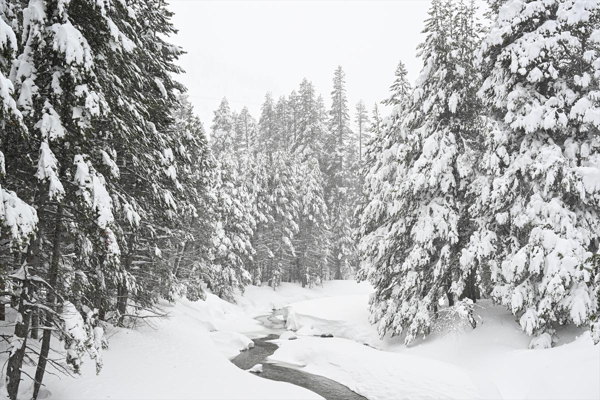 ABD'de kar fırtınası! California'da hayat felç oldu