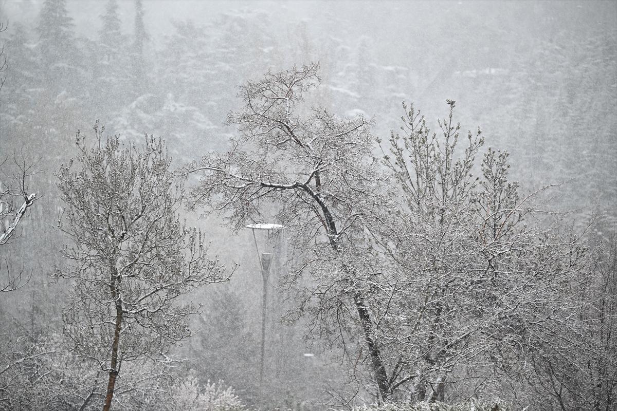 Ankara'ya mart ayında lapa lapa kar yağdı: Beyaza bürünen kentten kareler...