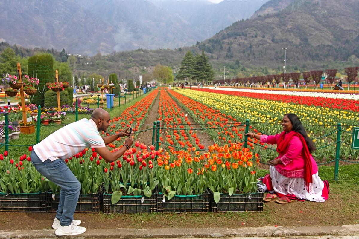 Asya'nın en büyük lale bahçesi, Hindistan'da ziyarete açıldı