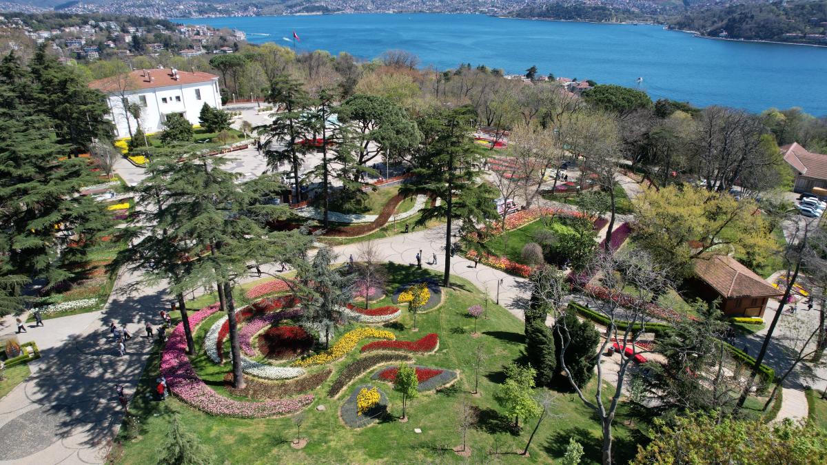 İstanbul'da 'lale şenliği' başladı