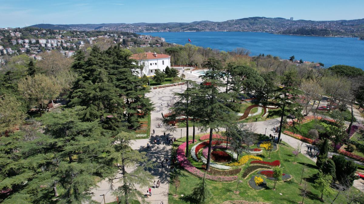 İstanbul'da 'lale şenliği' başladı