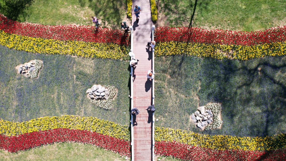 İstanbul'da 'lale şenliği' başladı