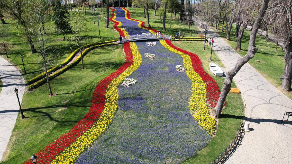 İstanbul'da 'lale şenliği' başladı