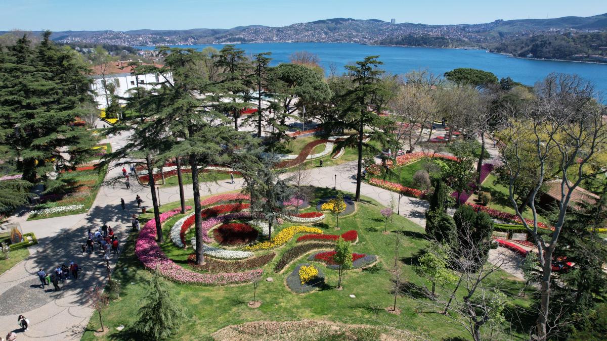 İstanbul'da 'lale şenliği' başladı