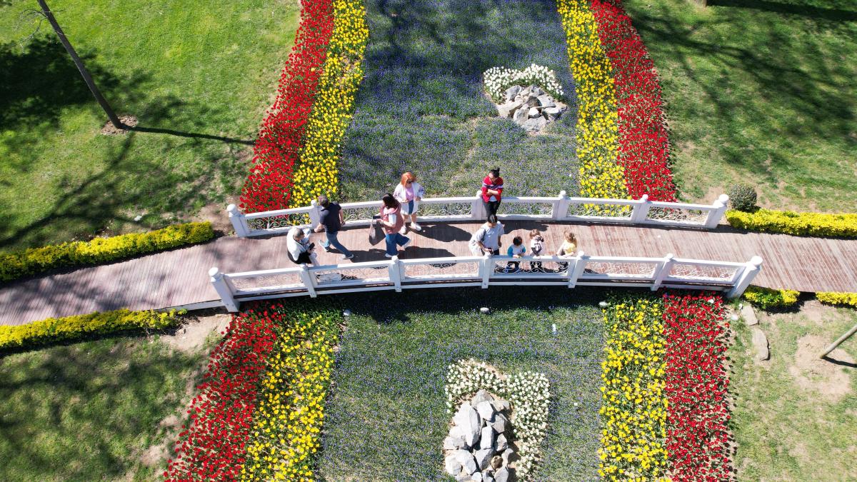 İstanbul'da 'lale şenliği' başladı