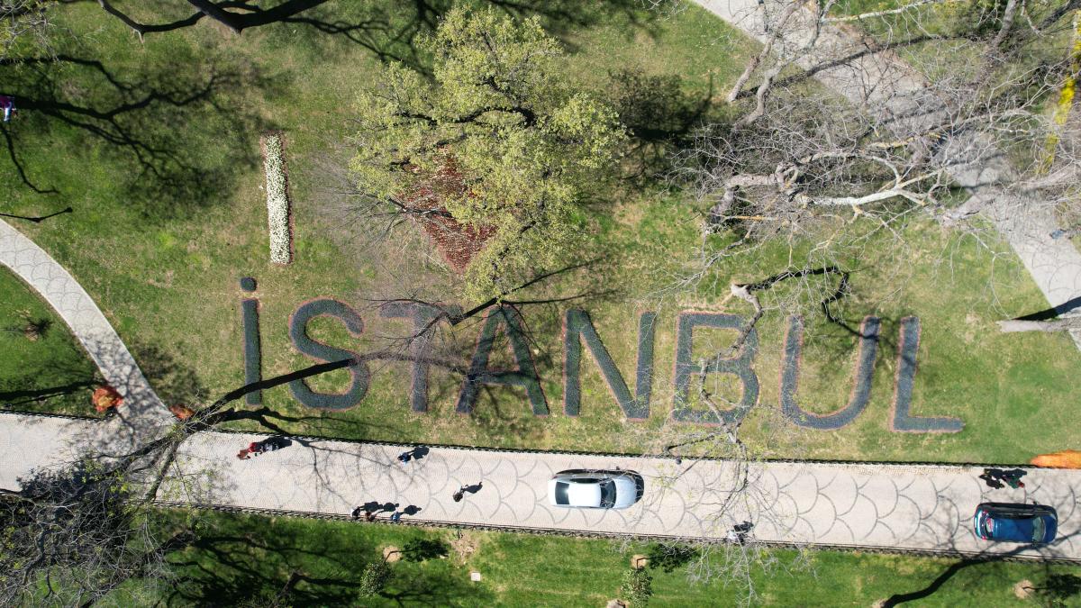 İstanbul'da 'lale şenliği' başladı