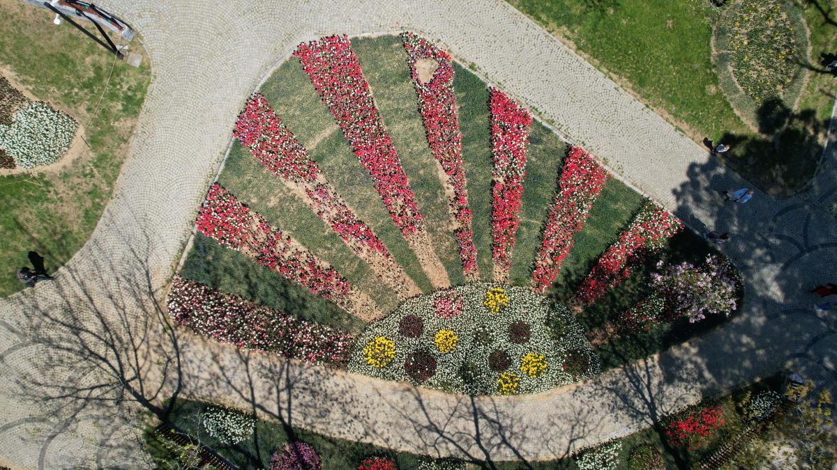 İstanbul'da 'lale şenliği' başladı