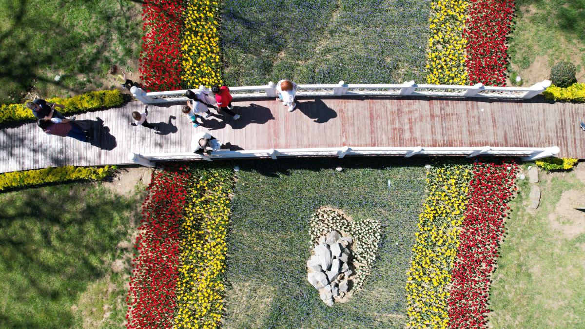 İstanbul'da 'lale şenliği' başladı