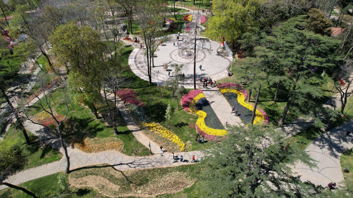 İstanbul'da 'lale şenliği' başladı