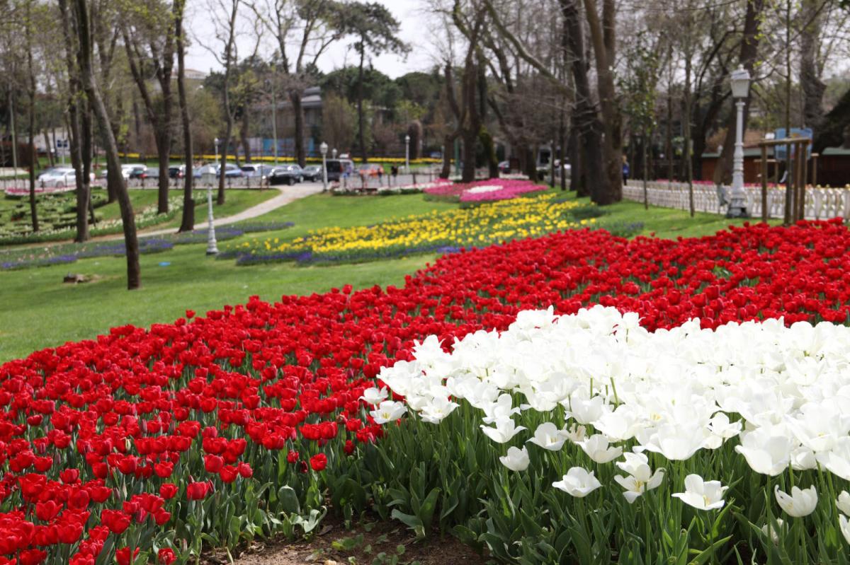 İstanbul'da 'lale şenliği' başladı