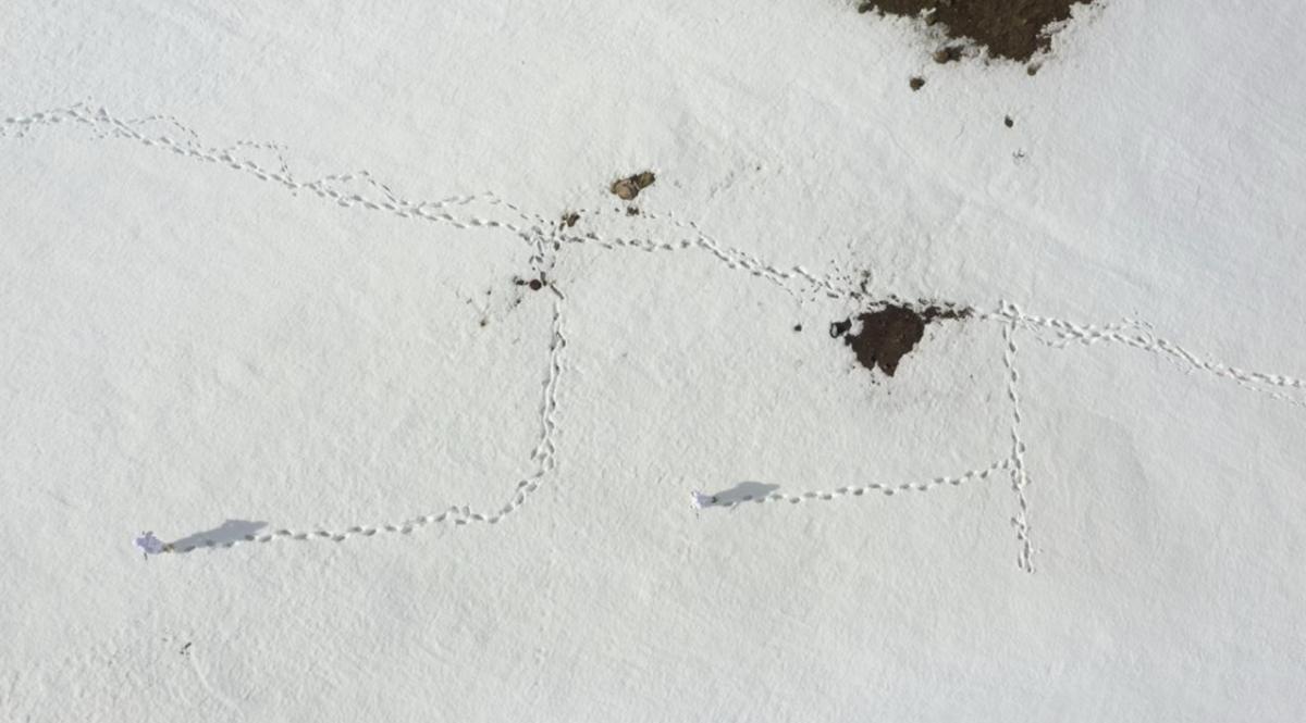 Mehmetçik, bayramı görev başında karşıladı