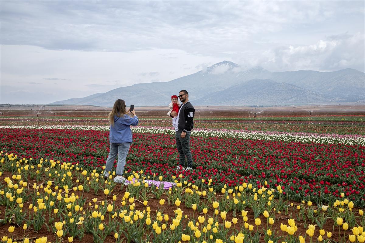 Karaman'da lale bahçesi ziyarete açıldı