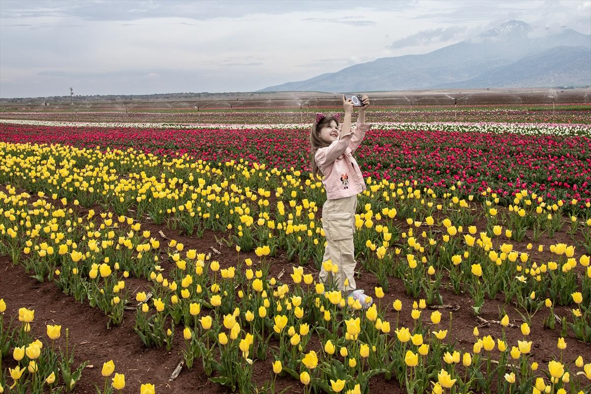 Karaman'da lale bahçesi ziyarete açıldı