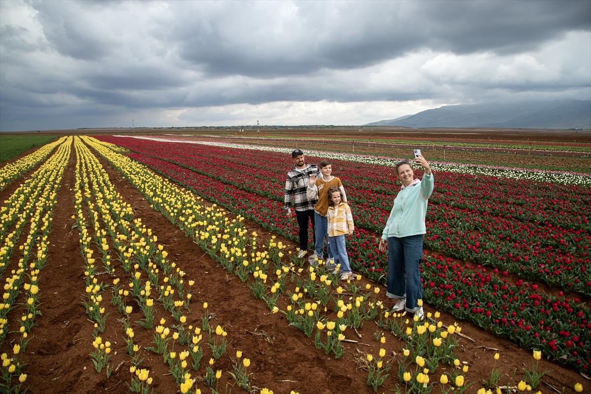 Karaman'da lale bahçesi ziyarete açıldı