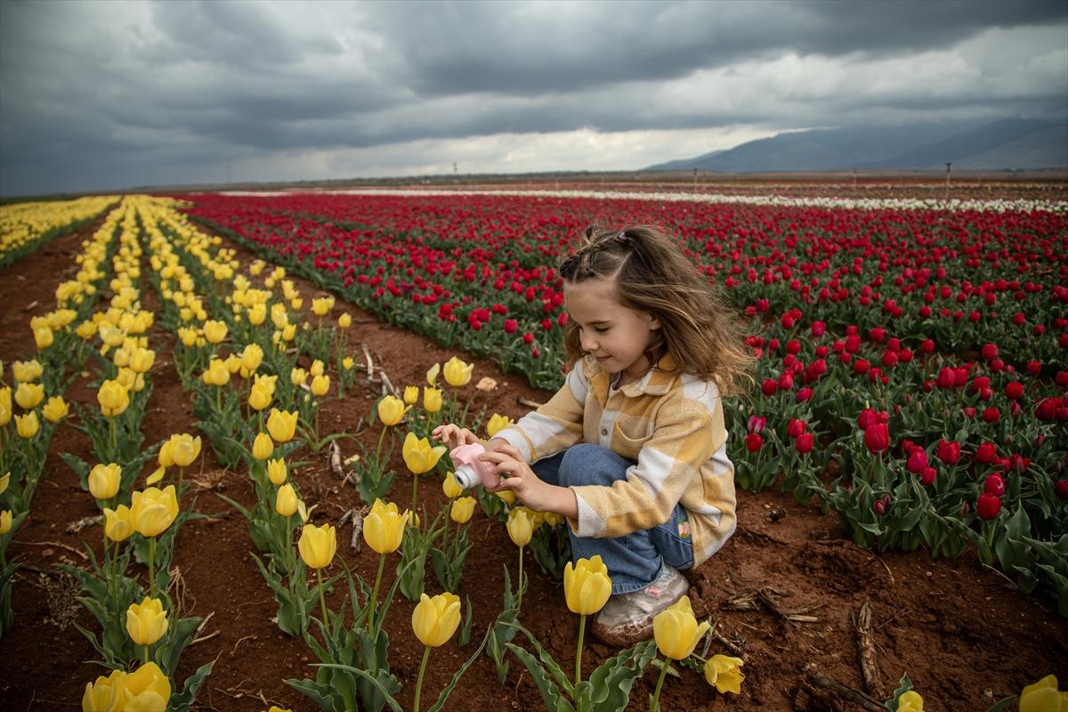 Karaman'da lale bahçesi ziyarete açıldı