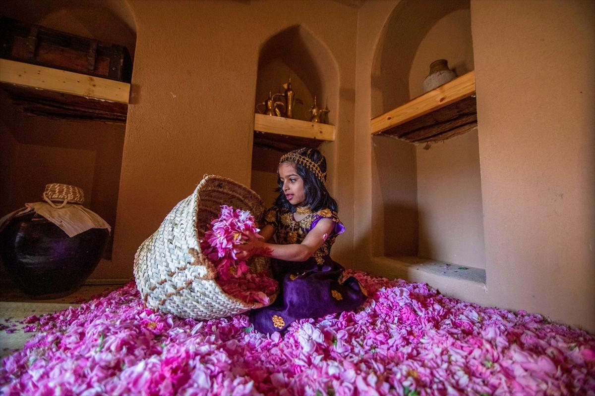 Umman'da gül hasadından renkli görüntüler ortaya çıktı