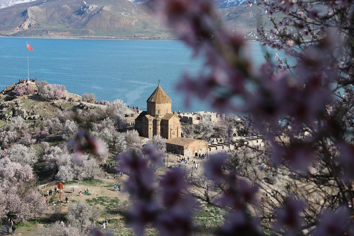 Van Gölü'nde ağaçlar çiçek açtı: Kıyılar baharın renklerine büründü