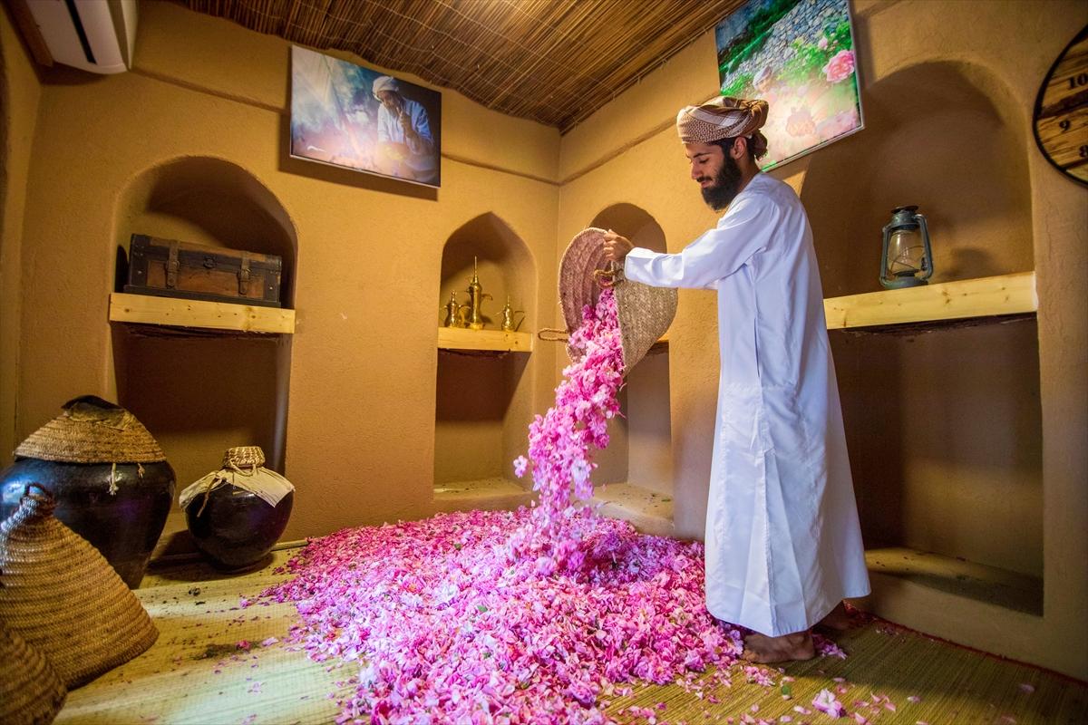 Umman'da gül hasadından renkli görüntüler ortaya çıktı