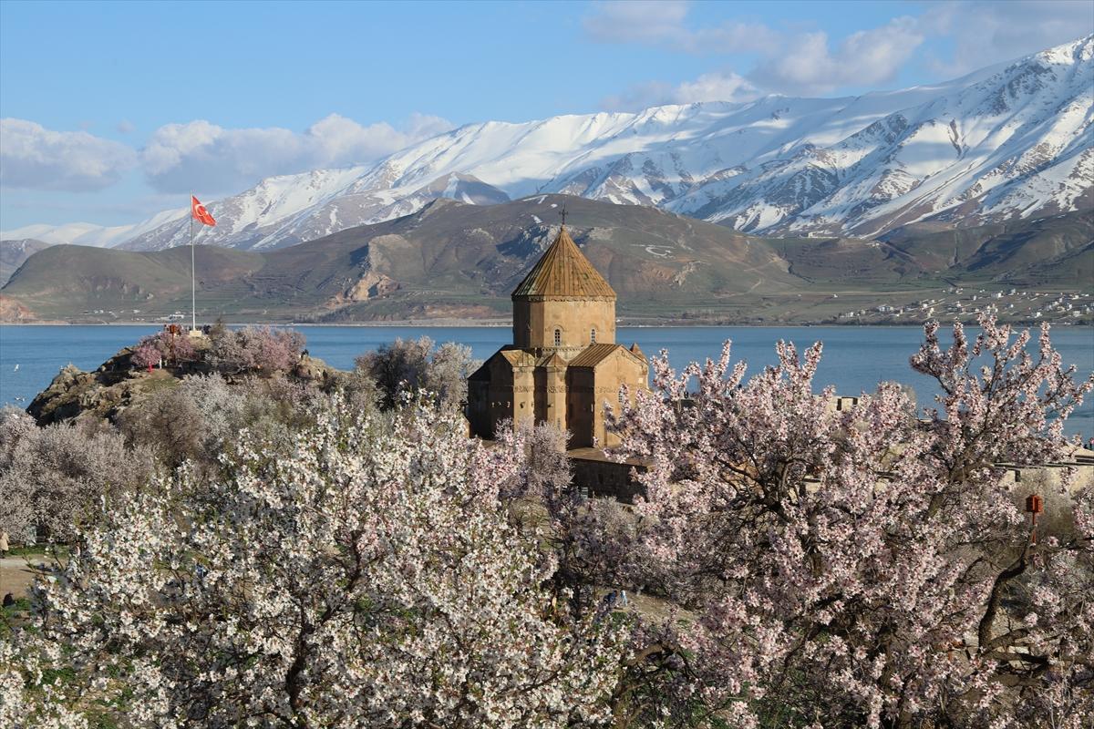 Van Gölü'nde ağaçlar çiçek açtı: Kıyılar baharın renklerine büründü