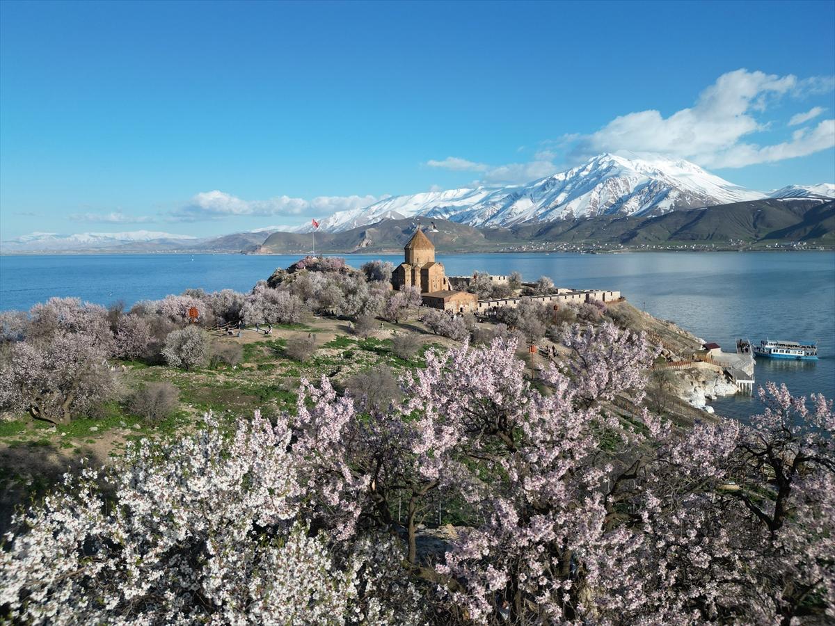 Van Gölü'nde ağaçlar çiçek açtı: Kıyılar baharın renklerine büründü