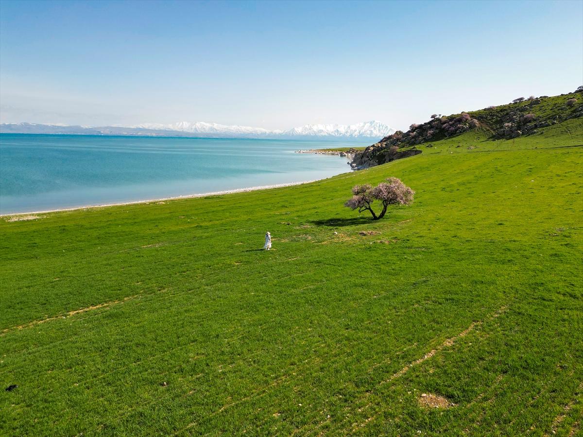 Van Gölü'nde ağaçlar çiçek açtı: Kıyılar baharın renklerine büründü