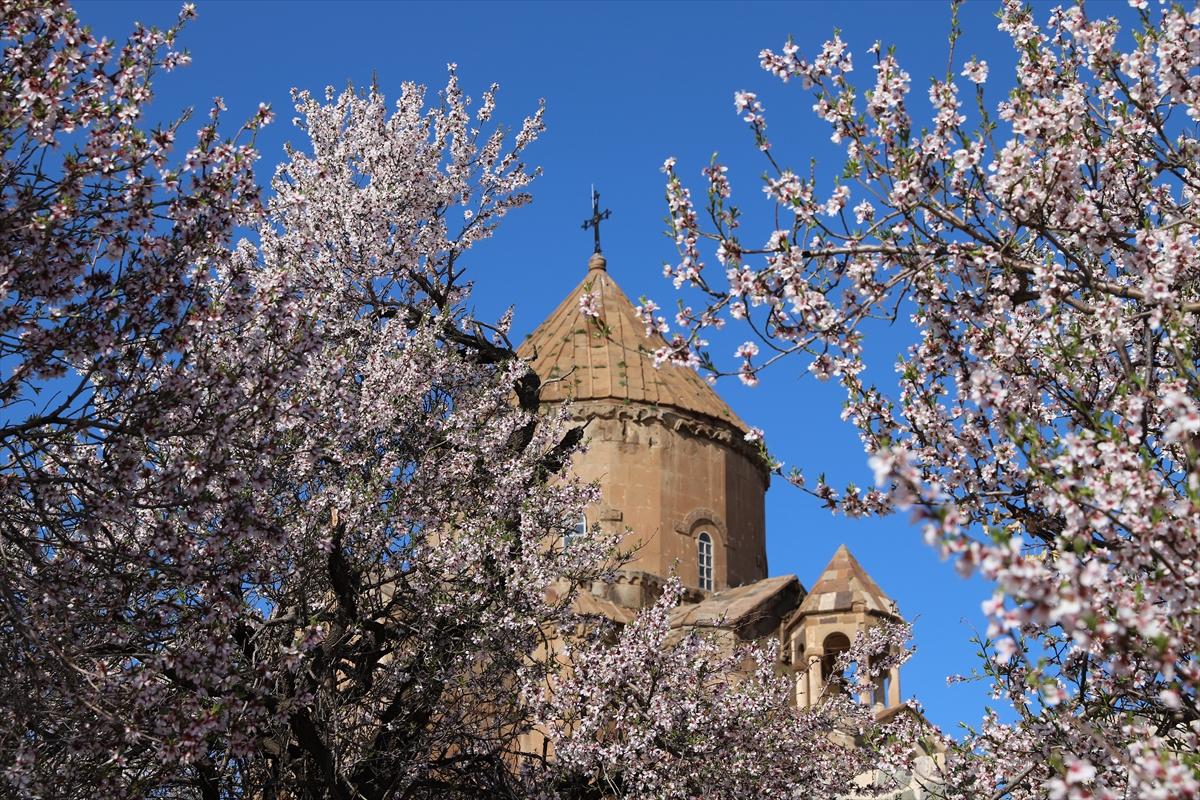 Van Gölü'nde ağaçlar çiçek açtı: Kıyılar baharın renklerine büründü
