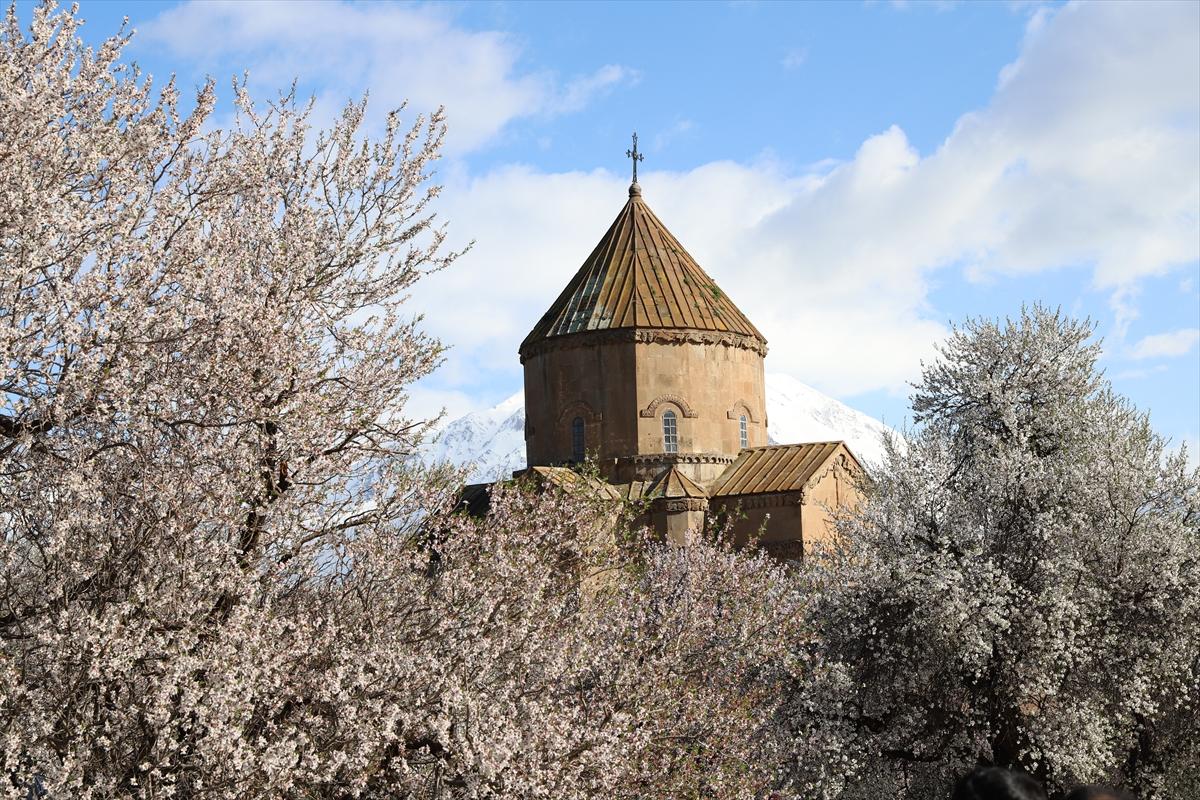 Van Gölü'nde ağaçlar çiçek açtı: Kıyılar baharın renklerine büründü