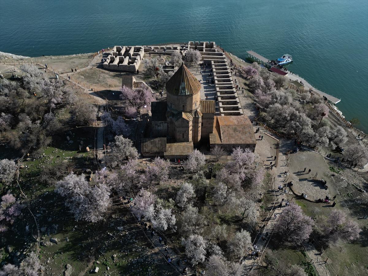 Van Gölü'nde ağaçlar çiçek açtı: Kıyılar baharın renklerine büründü