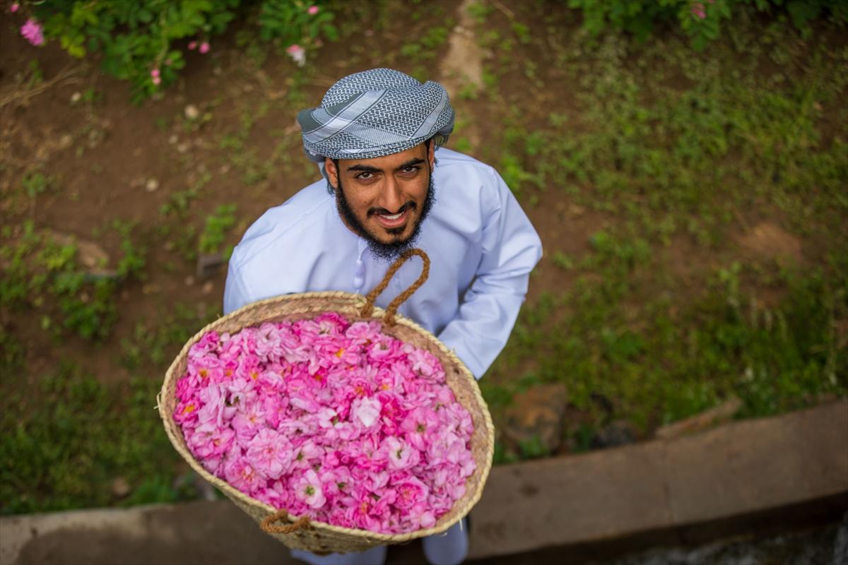 Umman'da gül hasadından renkli görüntüler ortaya çıktı